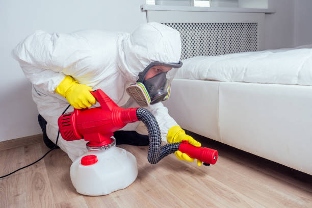 Best Local Pest Control Services  in Galesburg, MI