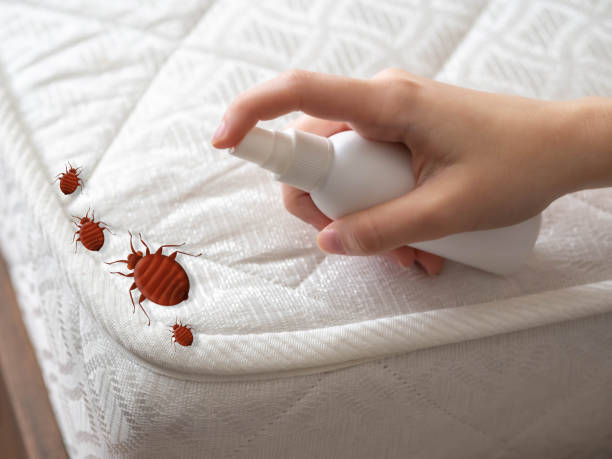 Best Residential Pest Control  in Galesburg, MI