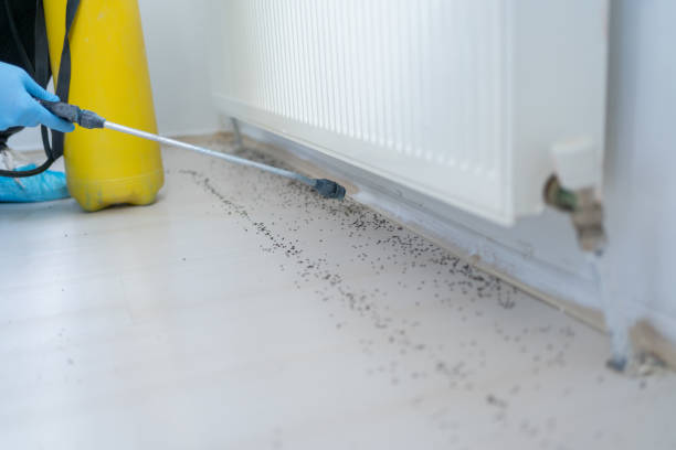 Best Flea Control Services  in Galesburg, MI