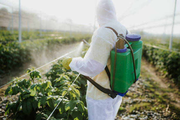 Best Bed Bug Extermination  in Galesburg, MI